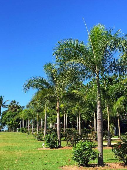 Dunk Island View Caravan Park Wongaling Beach Εξωτερικό φωτογραφία