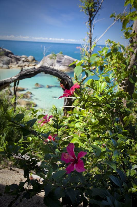 Dunk Island View Caravan Park Wongaling Beach Εξωτερικό φωτογραφία