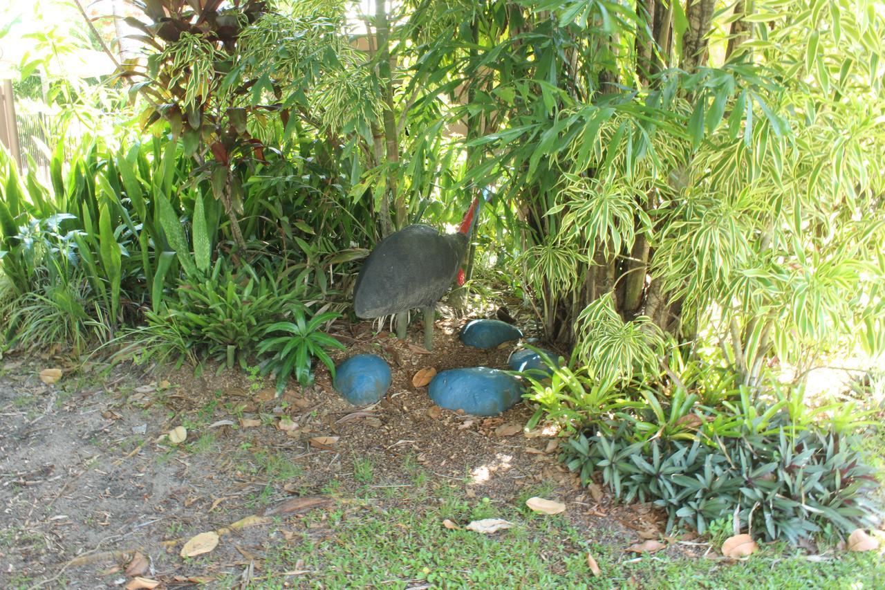 Dunk Island View Caravan Park Wongaling Beach Εξωτερικό φωτογραφία