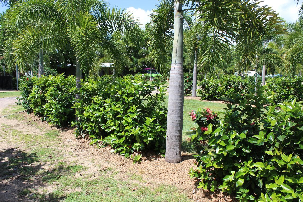 Dunk Island View Caravan Park Wongaling Beach Εξωτερικό φωτογραφία
